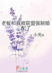 老板和我被联盟强制婚配了